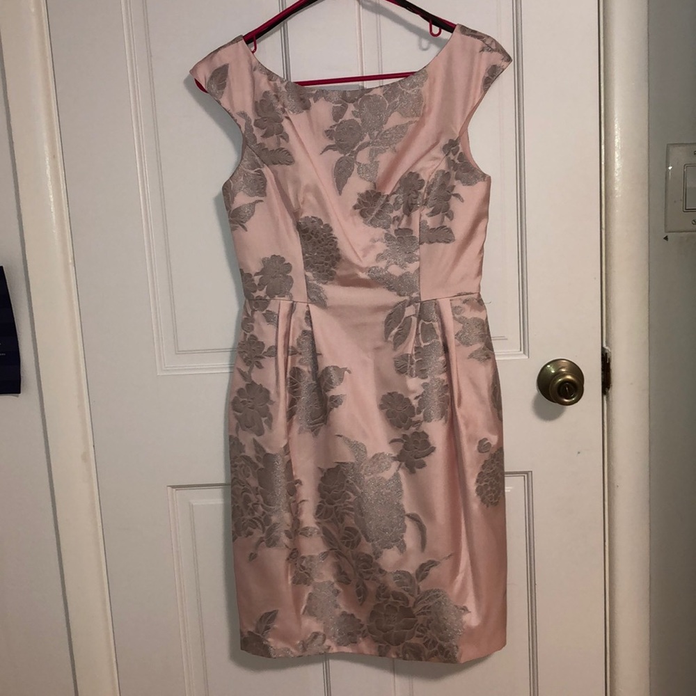 Adorable Pink and Silver Dress